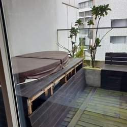 The Peak @ Cairnhill II (D9), Apartment #453132171